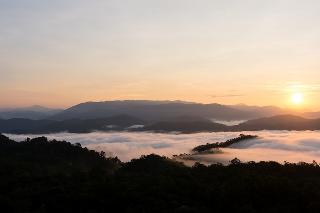 Salida del sol sobre grandes montañas y cubierta de niebla en el bosque.