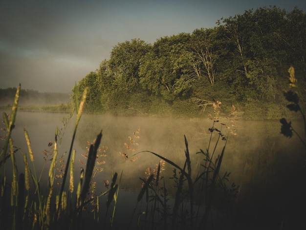 Salida del sol sobre un lago brumoso temprano en la mañana en el amanecer del río y niebla sobre el agua y los árboles con reflejos en la orilla del río