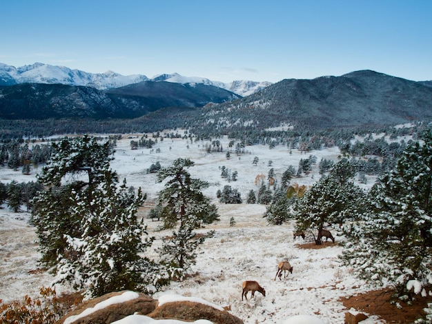 Salida del sol sobre el Parque Nacional de las Montañas Rocosas, Colorado.