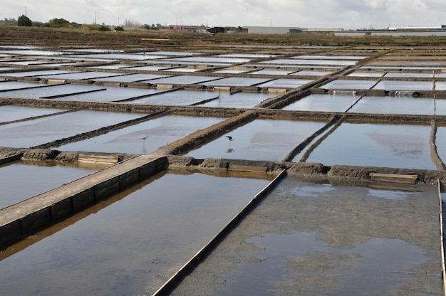 Salinas de Aveiro em Portugal