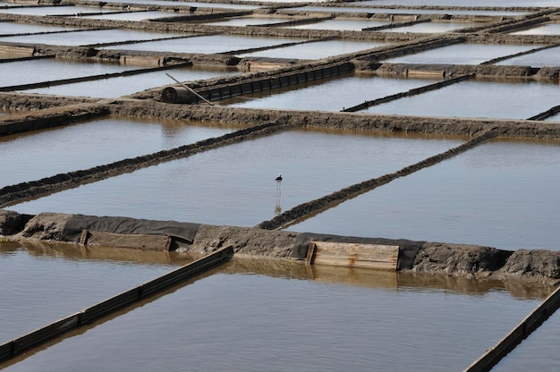 Salinas de Aveiro em Portugal