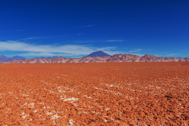 Foto salinas