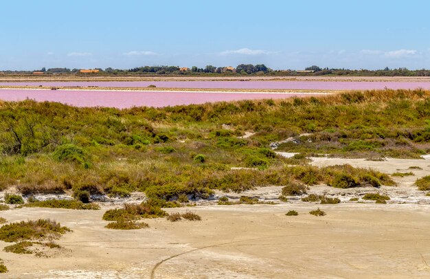 SalindeGiraud (en inglés)