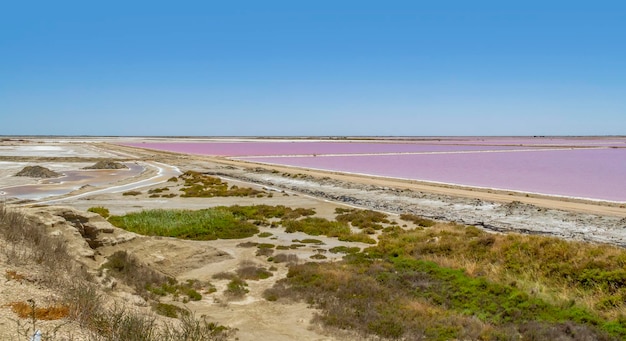 SalindeGiraud