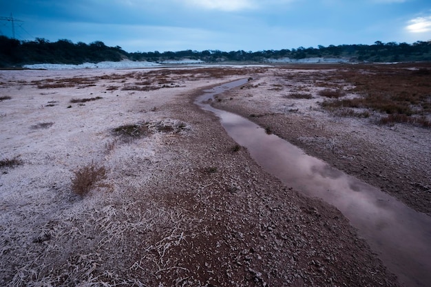 Salitre en el suelo de una laguna en un ambiente semidesértico provincia de La Pampa Patagonia Argentina