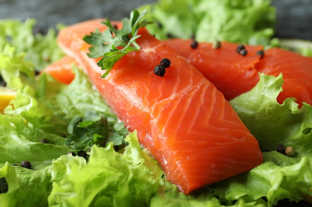 Salmão cru fresco e ingredientes para cozinhar, close-up