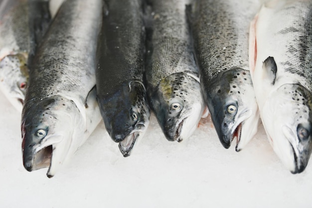 Salmón en el hielo en un mercado