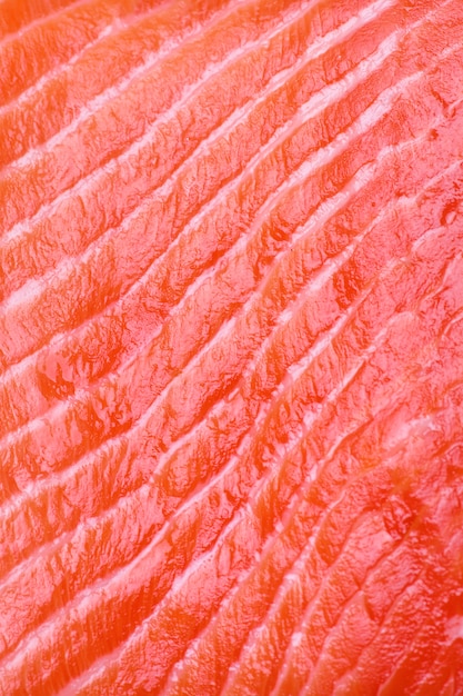 Salmón pescado textura