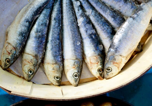 Salmoura sardinha salgada em caixa de madeira redonda