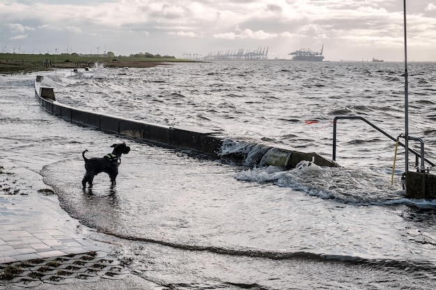 Salpicadura de una ola en el terraplén inundado cerca del mar