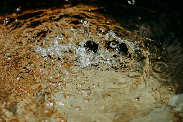 Las salpicaduras de agua en el estanque de peces koi