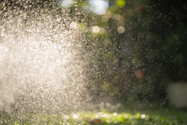 Salpicaduras de agua en el jardín durante el riego del campo