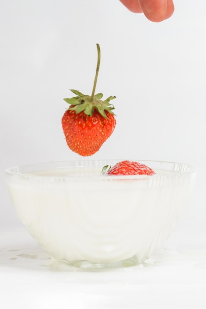 Salpicaduras de leche de la caída de fresas fondo blanco 2019