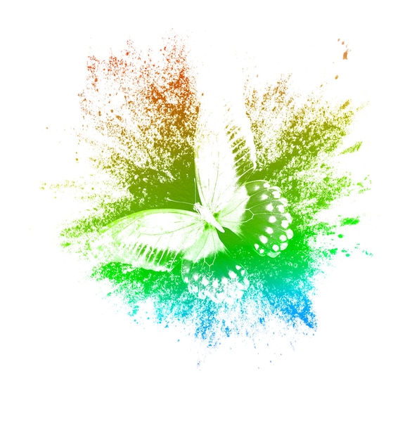 Foto salpicos de tinta colorida com borboleta isolada em um fundo branco. impressão para o designer