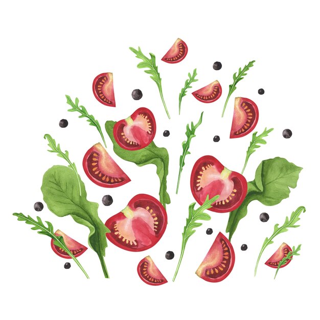 Salpicos frescos de salada de vegetais de verão, tomates de rúcula, agrião em fundo branco, design de ilustração de aquarela