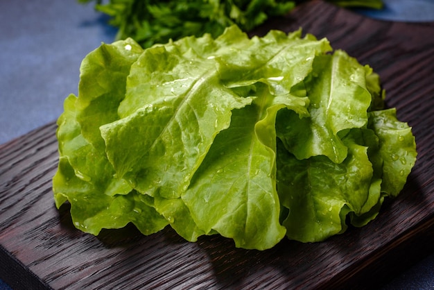 Salsa de salada e endro em uma tábua escura contra um fundo azul de concreto