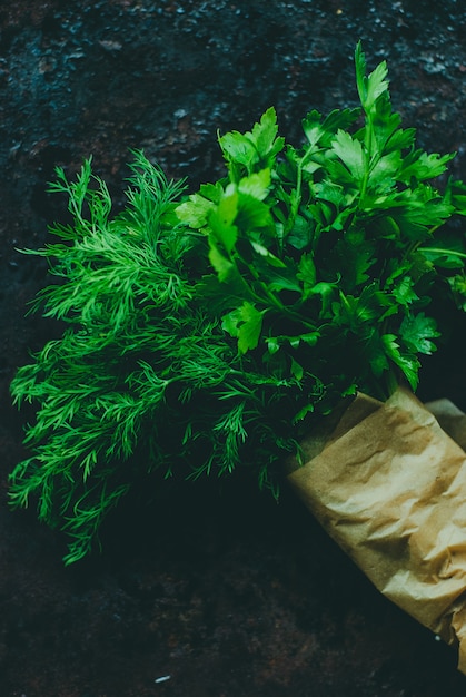 Salsa e endro em um fundo escuro