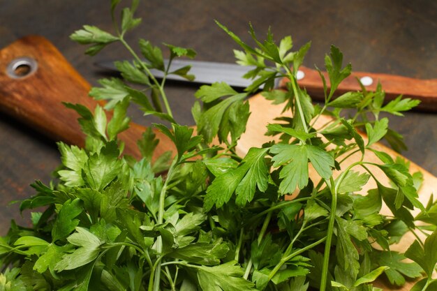 Foto salsa e uma faca de cozinha em uma placa de madeira