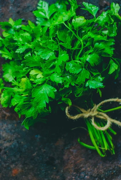 Salsa verde em fundo escuro