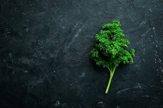 Salsa verde fresca Especiarias e ervas Em um fundo de pedra preta Vista superior Espaço livre para o seu texto