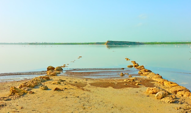 Foto salt lake en larnaca, chipre - paisaje de agua