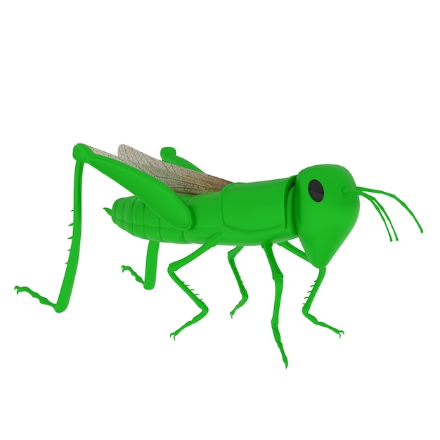 Saltamontes aislado sobre fondo blanco