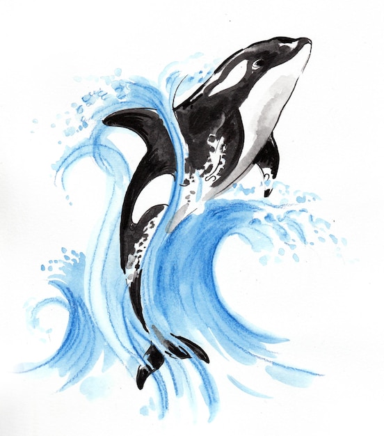 Saltando baleia assassina e água azul. Desenho a tinta e aguarela