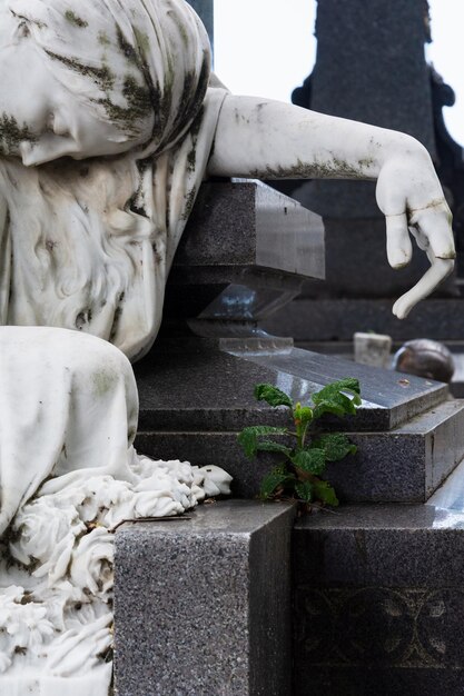 Foto salvador bahía brasil 21 de enero de 2015 la escultura se ve en las tumbas del cementerio de campo santo en la ciudad de salvador bahía.