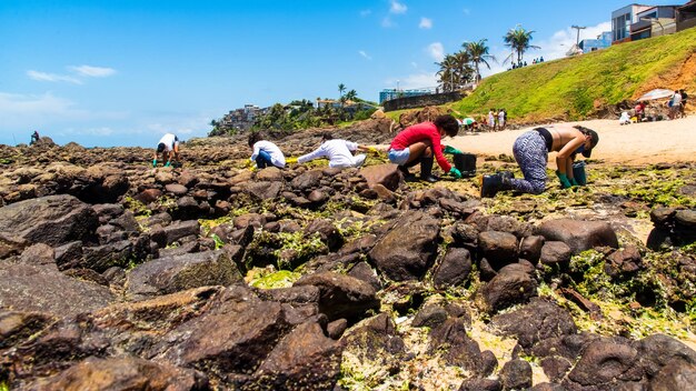 Salvador Bahia Brasil 27 de outubro de 2019 Voluntários retiram óleo negro da praia do Rio Vermelho derramado por um navio no mar brasileiro Cidade de Salvador Bahia