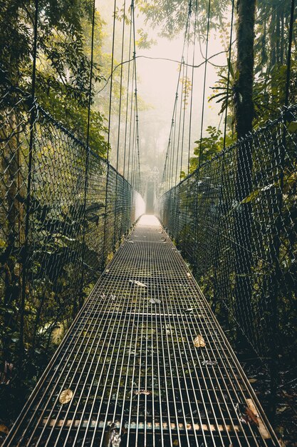 Foto el salvaje costa rica