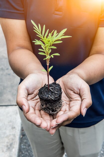 salve a terra salve a vida plantando a árvore, conceito de meio ambiente