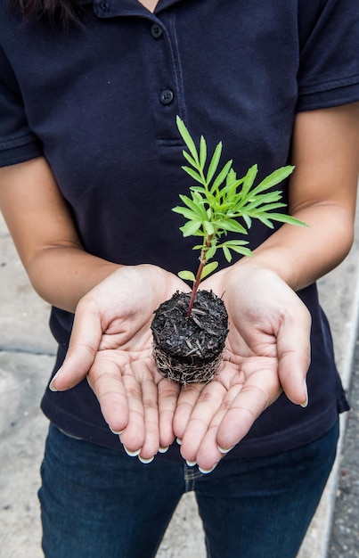 Salve a terra salve a vida plantando a árvore, conceito de meio ambiente