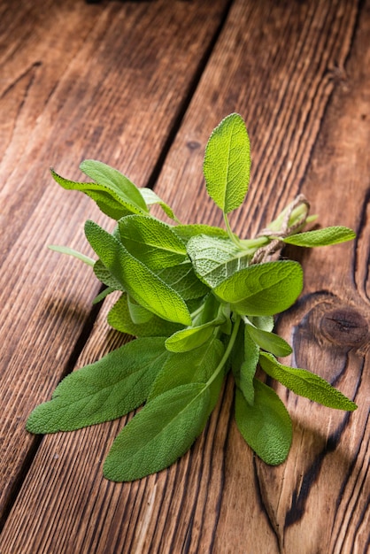 Foto salvia de hierbas frescas