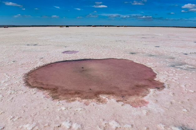 Salzlagune Dunaliella salina Färbung La Pampa Argentinien