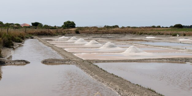 Salzwiese mit grobem Salz in Vendee Insel Noirmoutier Frankreich