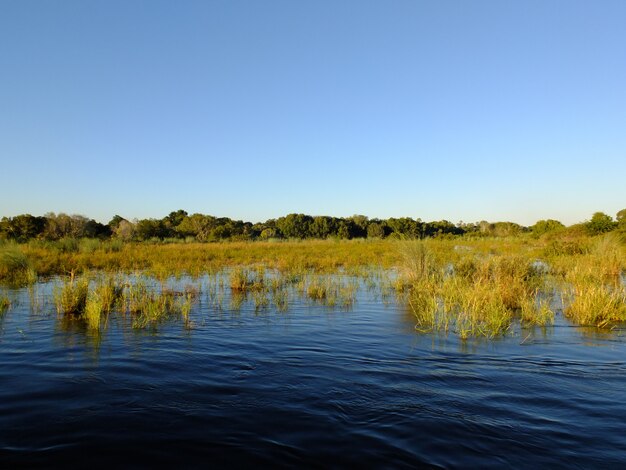 Sambesi Fluss, Simbabwe