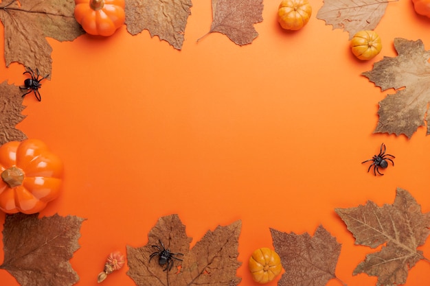 Sammlung Halloween und Herbst Party Objekte Rahmen