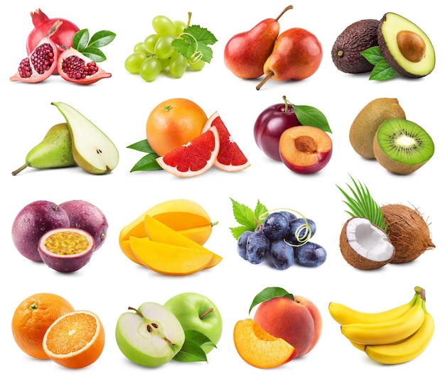 Sammlung verschiedener Früchte Apfelbirne Granatapfel Mango Avocado Orange Grapefruit Kiwi