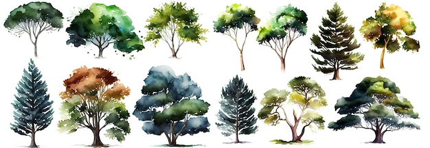 Sammlung von Aquarellbäumen Satz von handgezeichneten Bäumen Waldbaumpaket Generative Ai