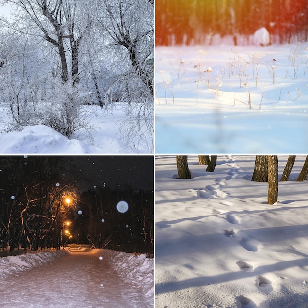 Sammlung von Bildern der Wintersaison Web-Banner Naturcollage mit saisonalen Landschaften Platz