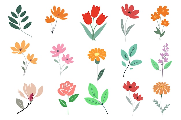 Sammlung von Blumen und blumigen Elementen, die auf weißem Hintergrund isoliert sind
