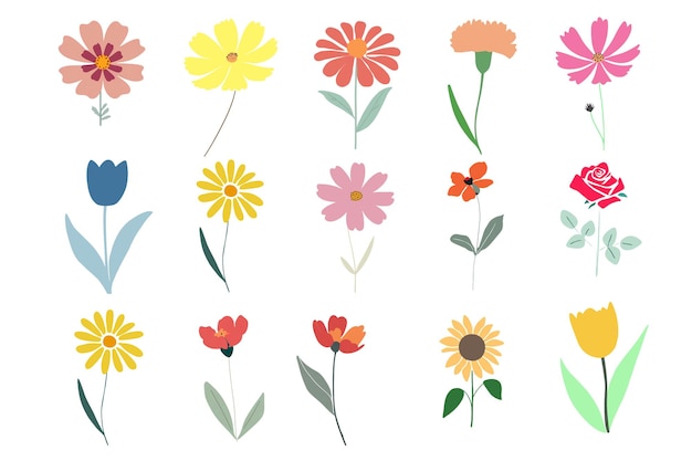 Sammlung von Blumen und blumigen Elementen, die auf weißem Hintergrund isoliert sind