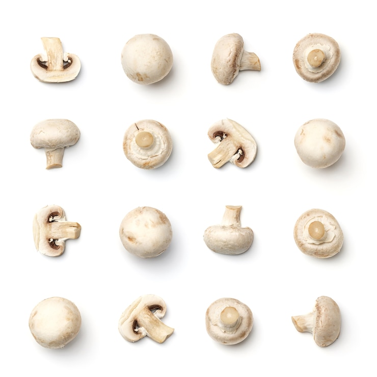 Foto sammlung von champignons lokalisiert auf weißem hintergrund. satz von mehreren bildern. teil der serie