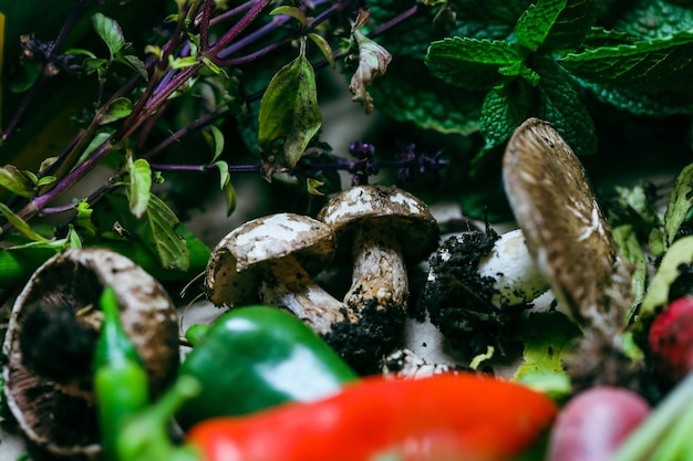 Sammlung von Gemüse und Blumen aus eigenem Anbau nach der Ernte aus dem heimischen Garten