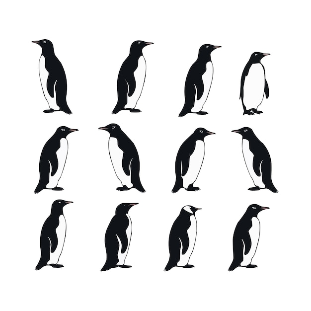 Sammlung von Pinguin-Silhouettenvektoren