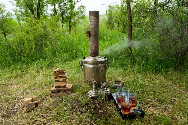 Samovar hirviendo en el bosque con leña y vasos de té