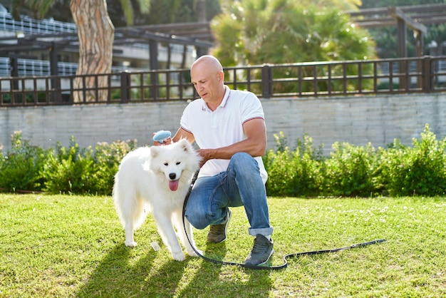 Samoyed-Hund mit ihrem männlichen Besitzer im Park, der zusammen spielt