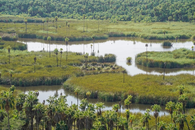 San dionisio-oase in sierra de la laguna baja kalifornien sur mexiko