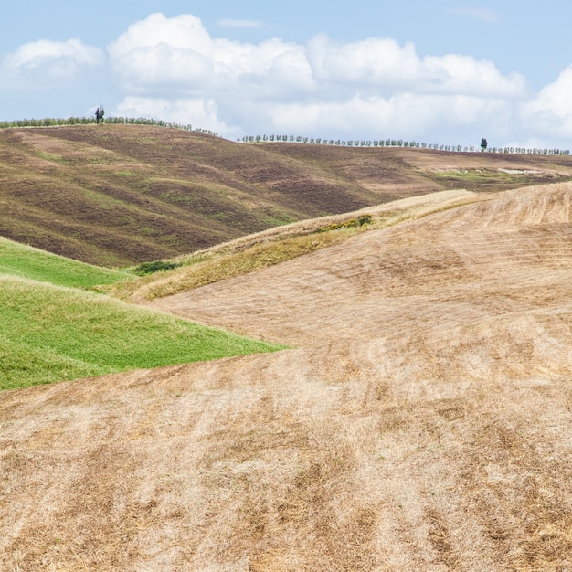 Foto san quirico d'orcia, toscana, itália. exemplo clássico de panorama local