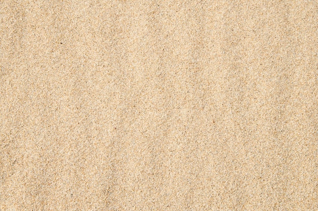 Sand Draufsicht Textur von Sand Kann als Hintergrund für Text verwendet werden